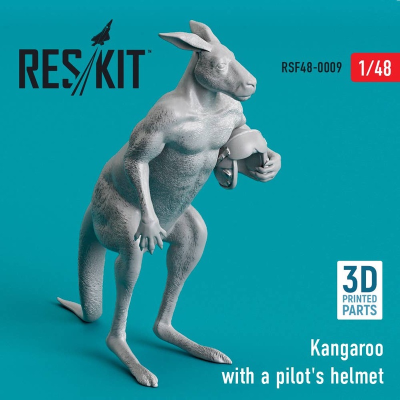 1/48 Kangaroo with a pilot's helmet (3D Printed)