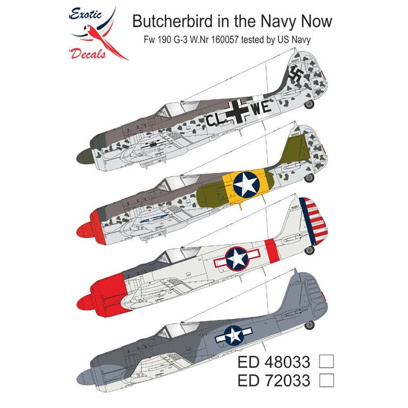 1/72 Butcherbird in the Navy Now - Fw 190 G-3 W.Nr 160057 tested by US Navy