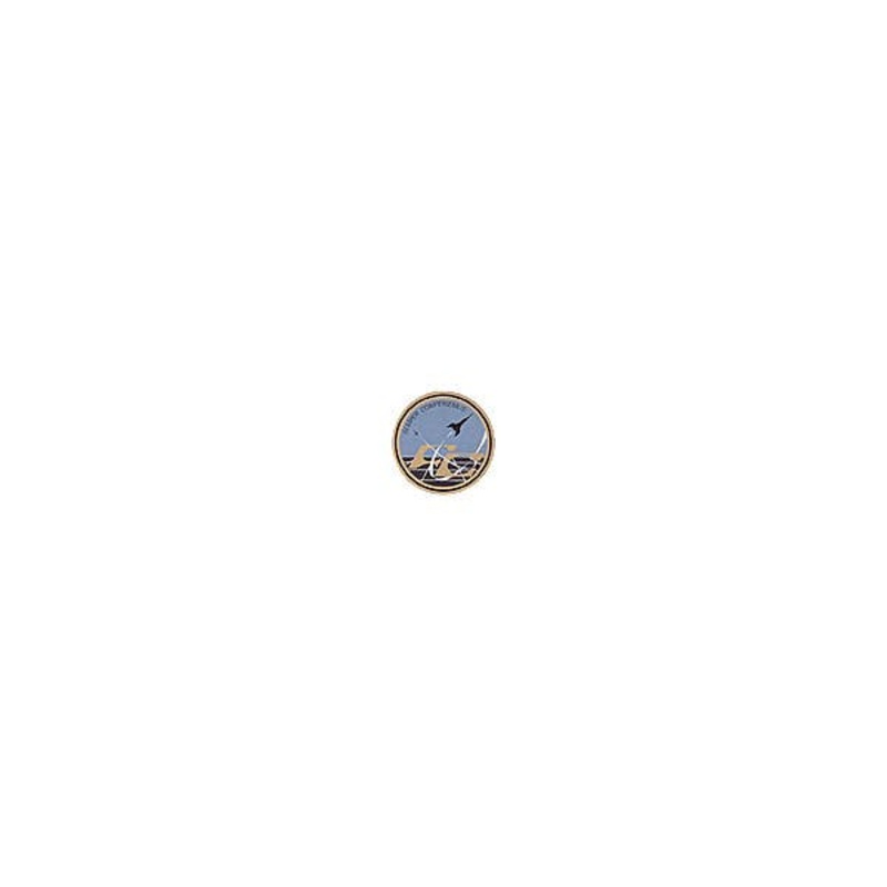1/72 Forsokscentralen Badge