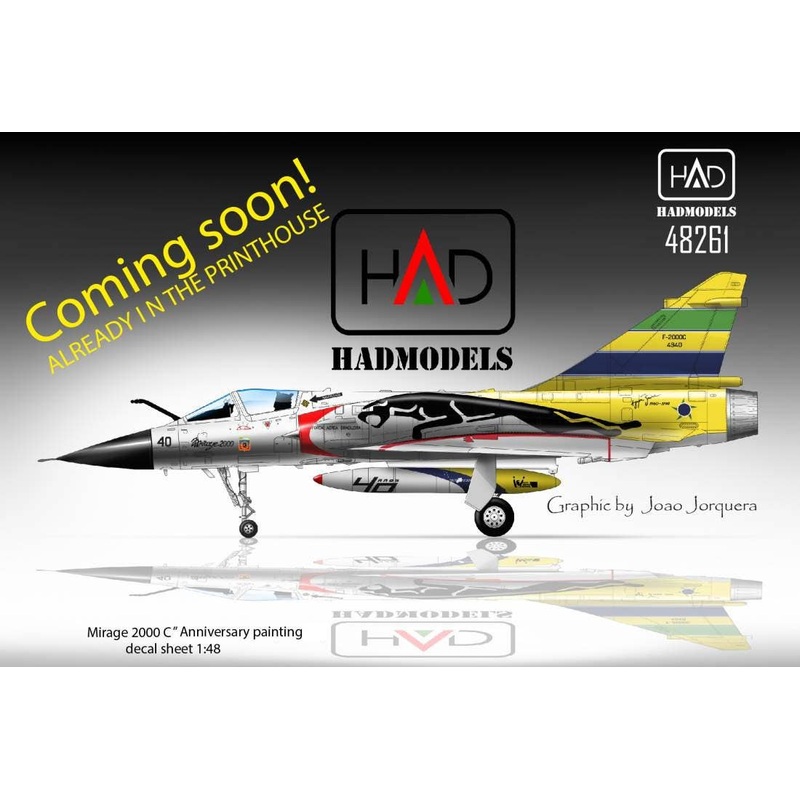 1/48 Mirage 2000C Brazilian Air Force 40th anniversary of 1st Air Defence Group Special Scheme for Kinetic