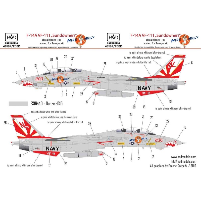 1/48 F-14A VF-111 Sundowners Miss Molly (for Tamiya)