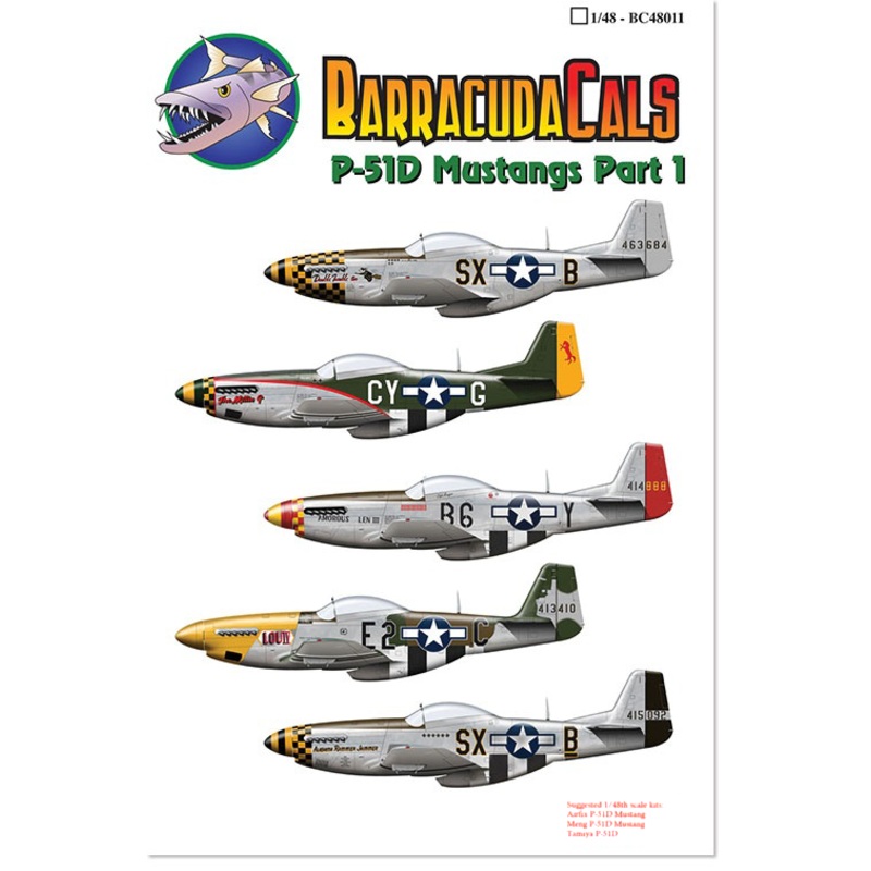 1/48 P-51D Mustangs Part 1