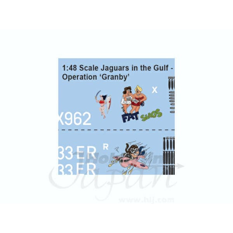 1/48 SEPECAT Jaguars in the Gulf Operation Granby Ver. 2