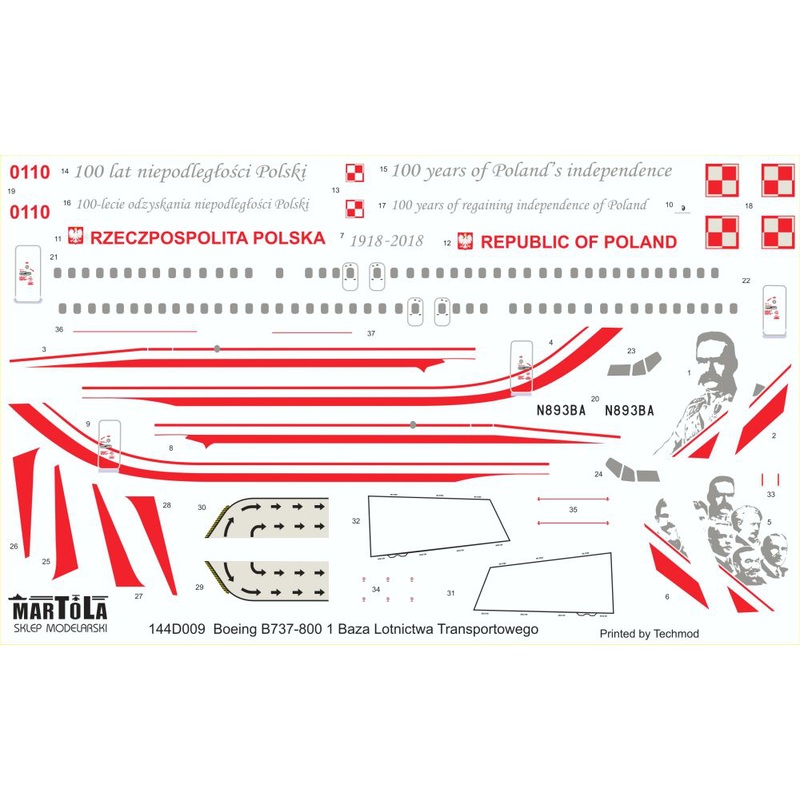 1/144 Boeing B737-800 1st Airlift Base (Government Transport) (for Zvezda)