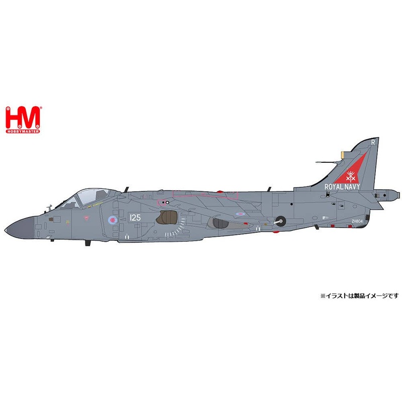 1/72 Sea Harrier FA.2 ZH804, Royal Navy, Fairford 2002 (w/ Sea Eagle missiles)