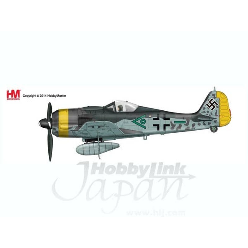 1/48 Focke-Wulf Fw 190 Munich 1945