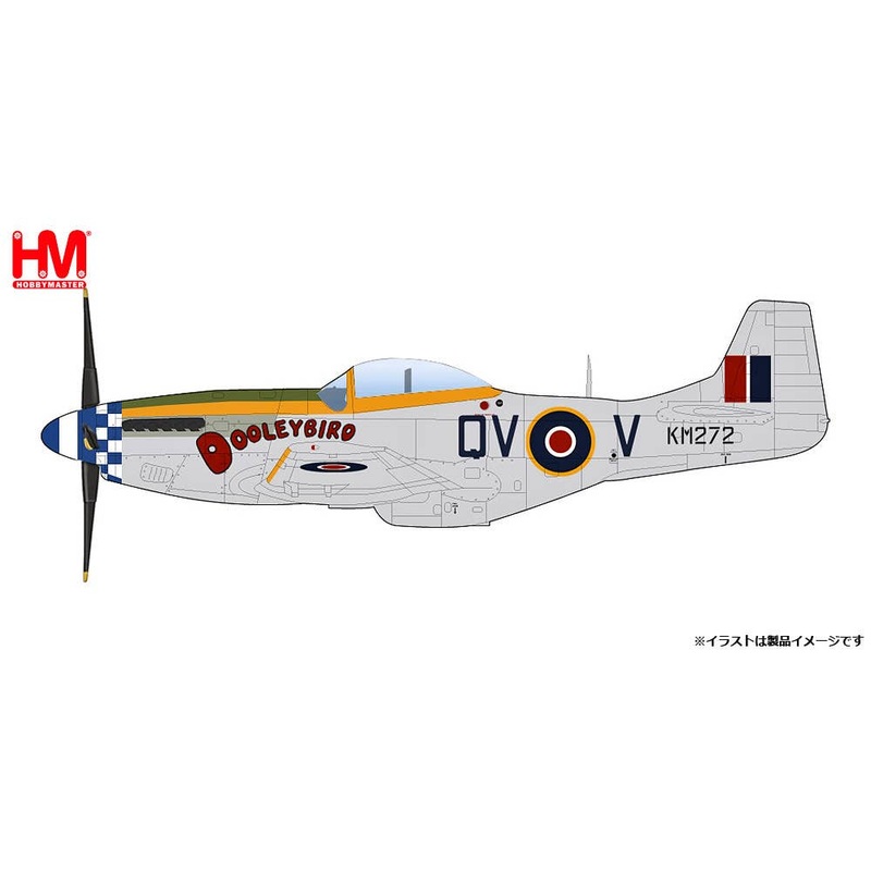 1/48 P-51D Mustang Dooley Bird