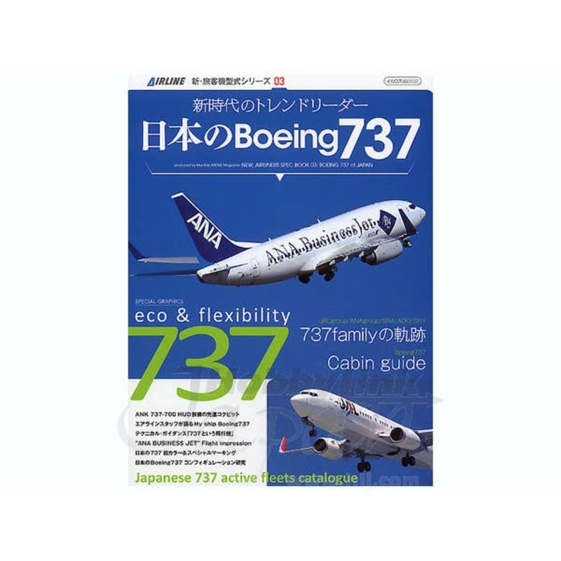 Boeing 737 of Japan