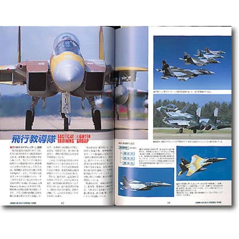 JASDF Perfect Guide 2003