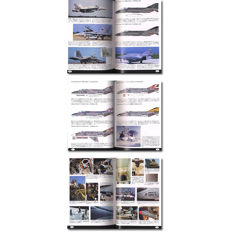 Tomcat Colors