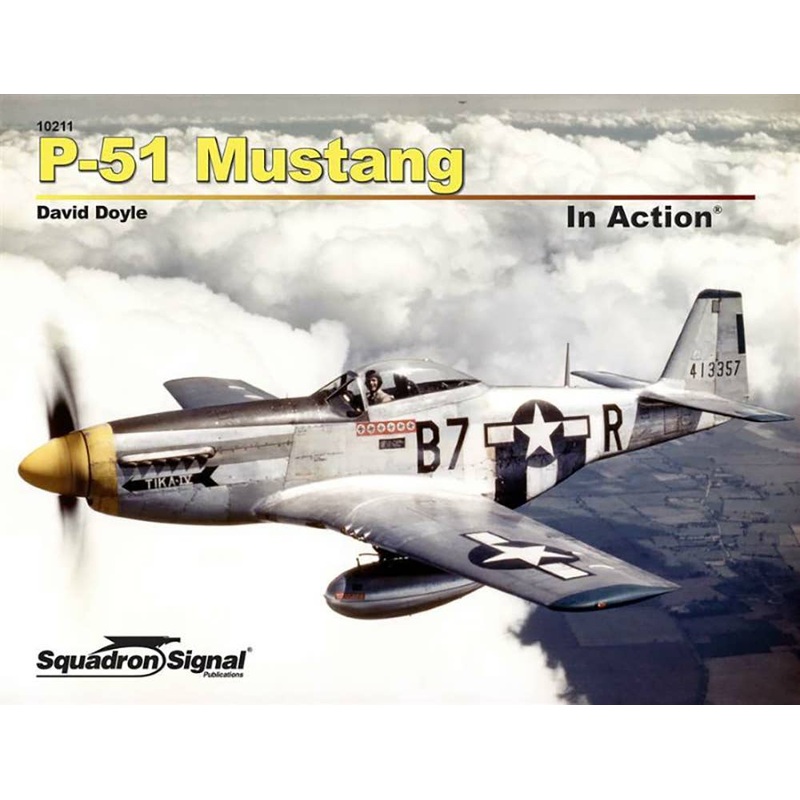 P-51 Mustang In Action