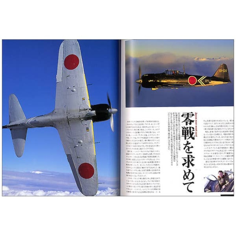 World Famous Propeller Planes: Warplanes