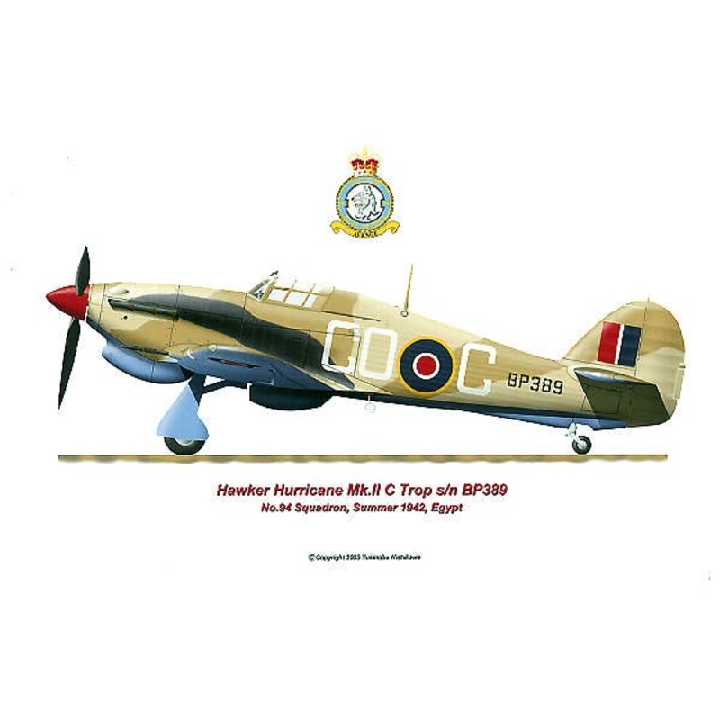 Hurricane MkII C Trop C GO C BP389