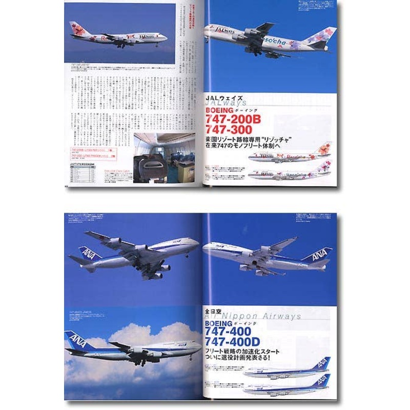 Japanese Airliner 2006-2007
