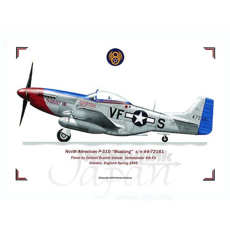 North American P-51D Mustang 44-72181 Sunny VIII