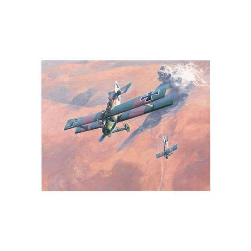 Shigeo Koike Art Print: LFG Roland C IIa